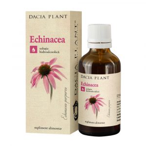 Tinctura Echinacea, Dacia Plant, Supliment Alimentar pentru Functionarea Normala a Sistemului Imunitar, 50 ml