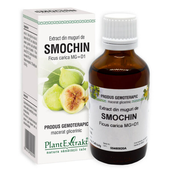 Extract din muguri de Smochin, 50 ml, PLX