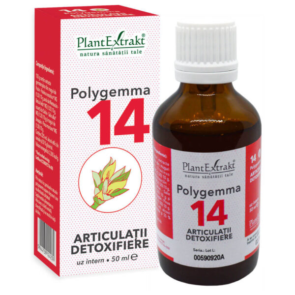 Polygemma nr.14 - Articulatii sanatoase, 50 ml, PlantExtrakt