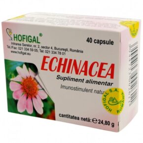 Echinacea pentru imunitate, 40 capsule, Hofigal